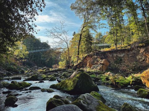A peaceful river flows through a green landscape with trees and rocks. The water reflects the clear sky and nature.