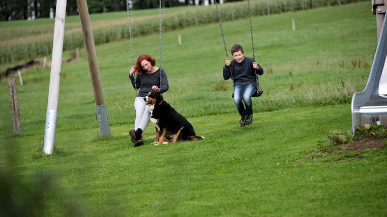 A woman and a boy are sitting on swings in a green meadow. A dog is lying relaxed next to the woman.