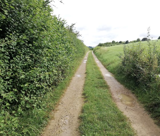 Welschbillig, &copy; Deutsch-Luxemburgische Tourist-Information