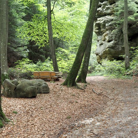 Ein Waldweg mit einer Holzbank und einer Felsformation im Hintergrund. Der Boden ist mit Laub bedeckt, umgeben von hohen B&auml;umen., &copy; Volker Teuschler