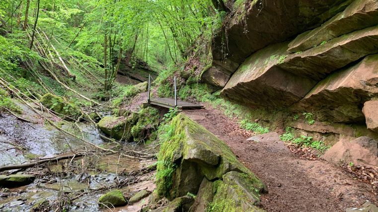 A picturesque hiking trail through a green forest. Rocks and a small stream flank the path.
