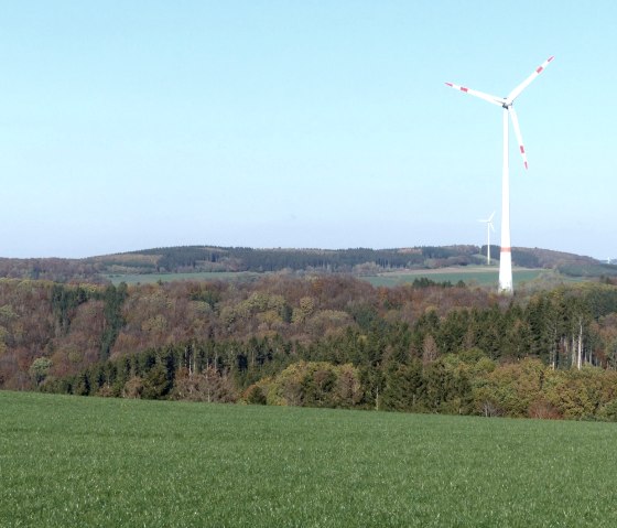 &Eacute;oliennes pr&egrave;s d'Eilscheid, &copy; TI Islek