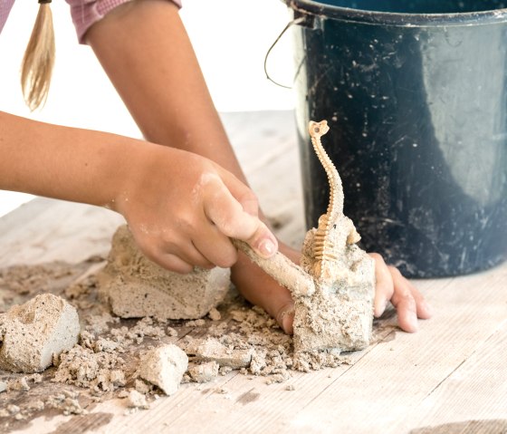 Dinos bergen im Forschercamp, &copy; Felsenland S&uuml;deifel Tourismus GmbH