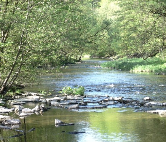 Een rustige rivier stroomt door een groen bos in het natuurpark Zuid-Eifel. Stenen en bomen omzomen de oevers en het water weerspiegelt het omringende groen., &copy; Paul J&uuml;rgen Evertz