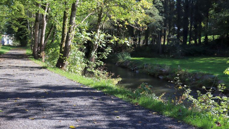 A shared path next to a small stream, surrounded by trees. The sun shines through the foliage, creating a peaceful atmosphere.