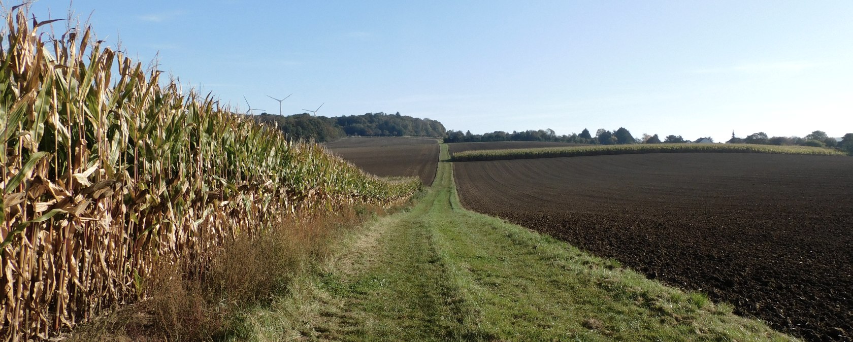 Trierweiler, &copy; Deutsch Luxemburgische Tourist Info