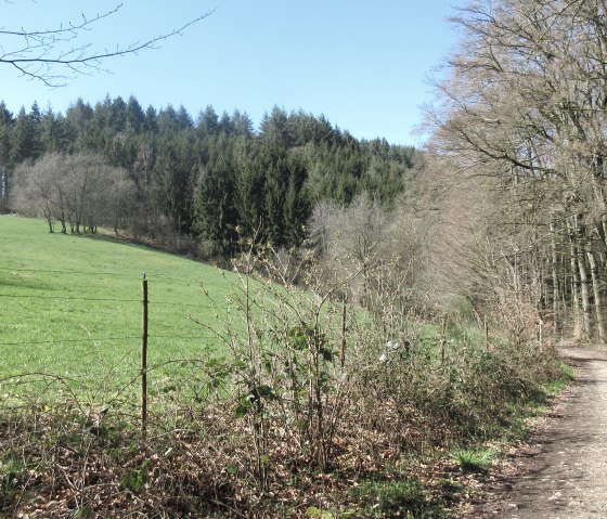 afbeelding 8809, &copy; Felsenland S&uuml;deifel Tourismus GmbH