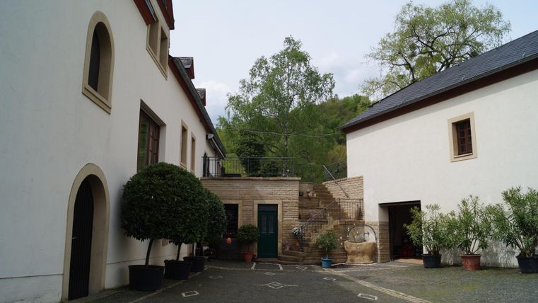 A quiet courtyard with white buildings and potted plants. In the background, steps and trees are visible.
