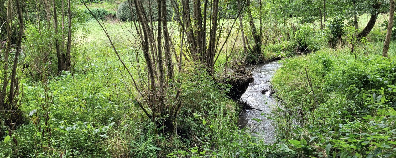 20240818_161828_resized, &copy; Tourist-Information Islek