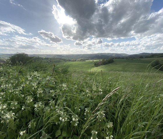 Weids uitzicht over de velden rond Gentingen, &copy; Felsenland S&uuml;deifel Tourismus, Anna Carina Krebs