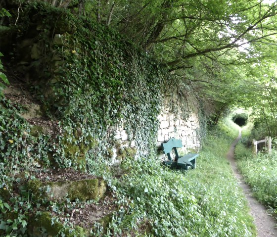 Aire de repos verdoyante avec banc pr&egrave;s d'un mur de pierres s&egrave;ches recouvert de lierre, entour&eacute; d'un feuillage dense et d'un sentier &eacute;troit., &copy; Elke Wagner, Felsenland S&uuml;deifel Tourismus GmbH