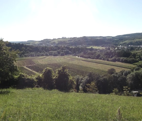 Wanderweg 16, &copy; Deutsch-Luxemburgische Tourist-Information