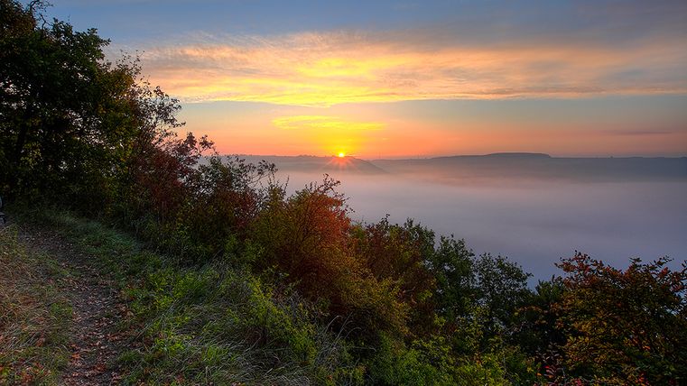 Sonnenaufgang über nebliger Landschaft mit Bäumen und einem Pfad im Vordergrund.
