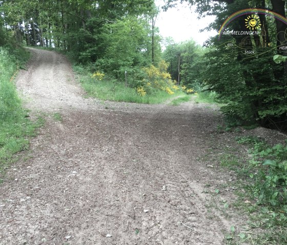 afbeelding_8164_logo, &copy; Manuel Norta, Ammeldingen