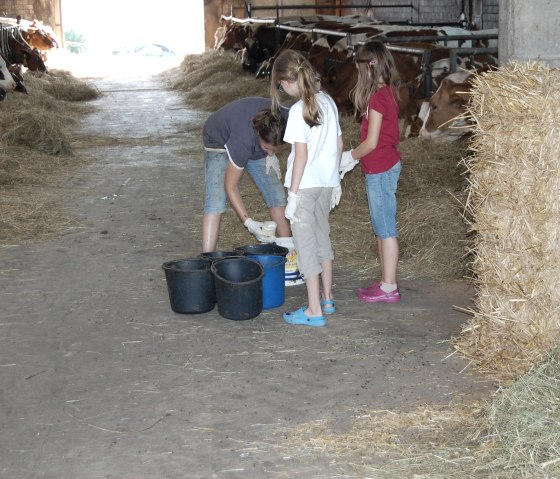 K&auml;lbchenf&uuml;tterung aktiv