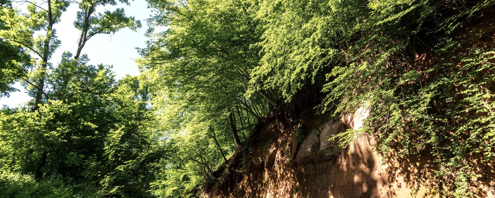 Roter Puhl, © Eifel Tourisus GmbH, D. Ketz