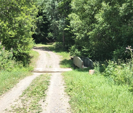 Un &eacute;troit chemin forestier traverse une v&eacute;g&eacute;tation dense, bord&eacute;e d'arbres et d'arbustes. Un banc en bois se trouve &agrave; droite., &copy; Tourist-Information Islek