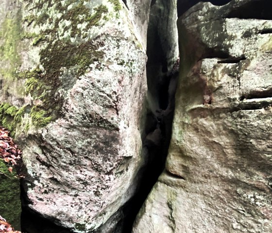 Muhmenlay Nahaufnahme, &copy; Felsenland S&uuml;deifel Tourismus GmbH, AC Krebs