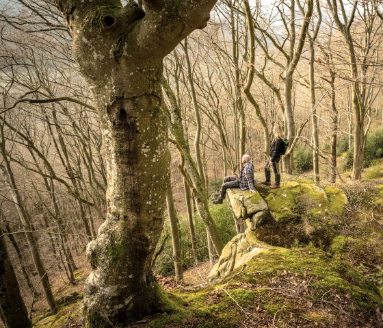 Deux personnes sont debout et assises sur un rocher recouvert de mousse dans une forêt dénudée. Les arbres sont hauts et denses, sans feuillage., © Eifel Tourismus GmbH, D. Ketz