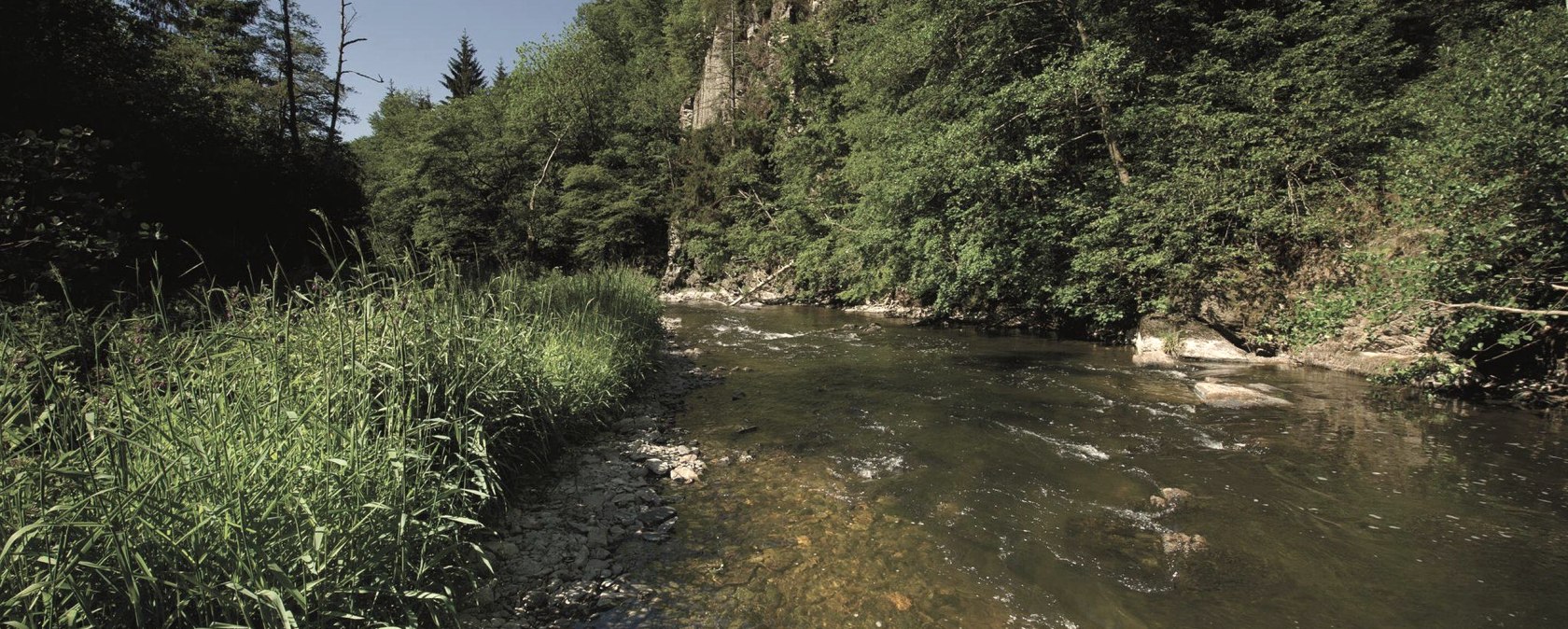 die Our im Sonnenschein, © ZV Naturpark Südeifel, Raymond Clement