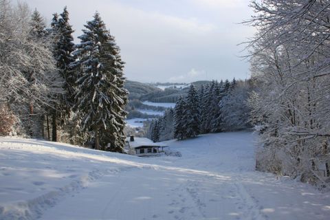 A snowy landscape with tall, snow-covered trees. In the foreground, there is a path leading to a small house.