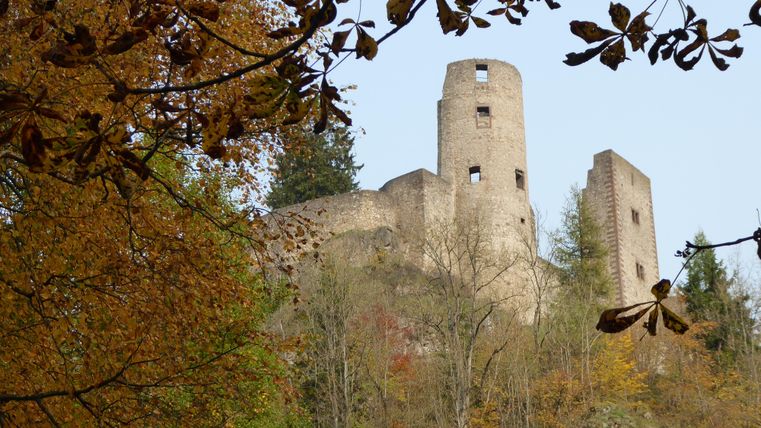 Een oude kasteelruïne op een heuvel, omgeven door kleurrijke herfstbladeren. De heldere lucht biedt een mooi contrast met de historische architectuur.
