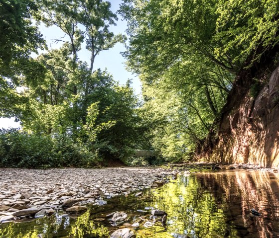 Uitzicht op de rode zandstenen muur Roter Puhl, © Eifel Tourismus GmbH, D. Ketz
