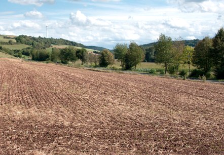 Weite Landschaft im Enztal mit einem braunen Feld im Vordergrund, B&auml;umen und einem Windrad im Hintergrund unter blauem Himmel mit Wolken., &copy; V. Teuschler