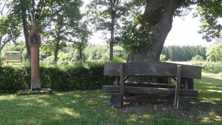 A wooden bench stands under a large tree in a green landscape. In the background, there are trees and a calm environment visible.