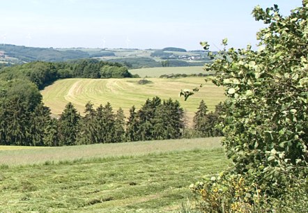 Eifelh&ouml;hen, &copy; V. Teuschler