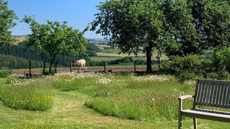 A tranquil landscape with green grass and trees. In the background, a cow can be seen in a meadow.