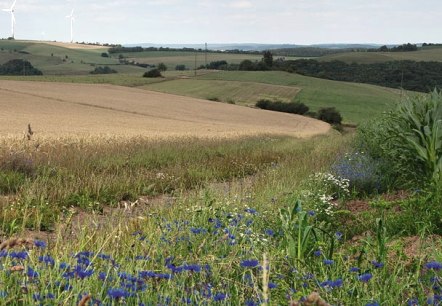 Eifel hoogten, &copy; Volker Teuschler