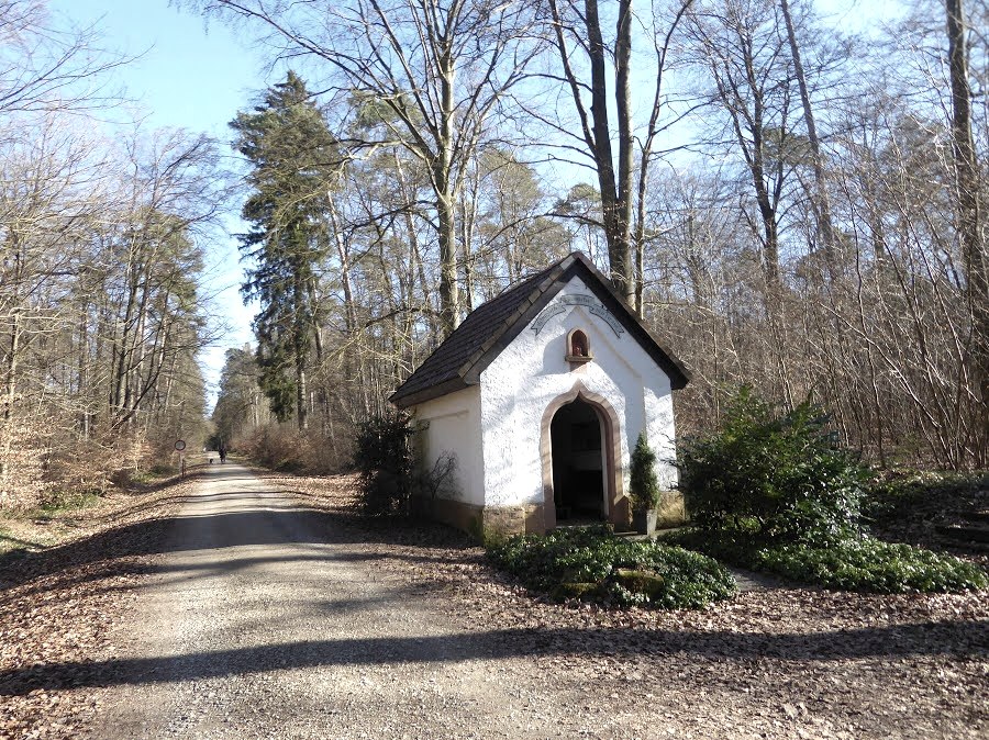 Une petite chapelle se trouve &agrave; la lisi&egrave;re de la for&ecirc;t, &agrave; c&ocirc;t&eacute; d'un chemin de terre. Les alentours sont bord&eacute;s d'arbres dont les feuilles jonchent le sol., &copy; Eifelverein Ortsgruppe Speicher