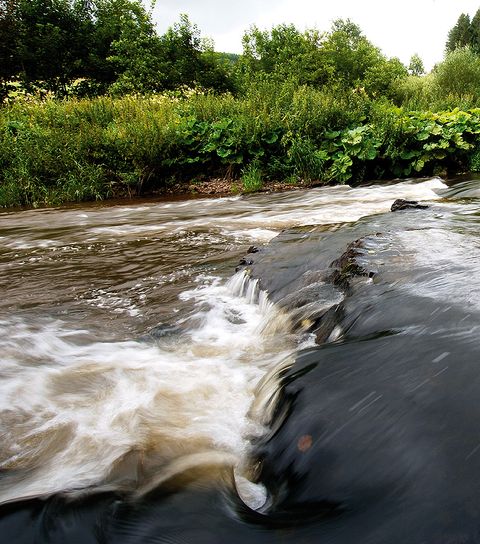 River with a small waterfall and lush vegetation on the banks.