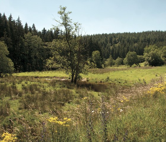 Sentier de l'Irsen, © Naturpark Südeifel, Joelle Mathias