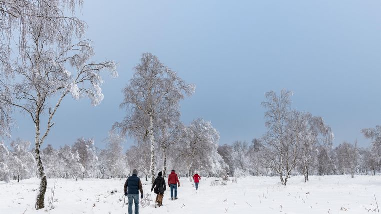 Een groep mensen loopt door een besneeuwd winterlandschap. De bomen zijn bedekt met sneeuw en de lucht is grijs-blauw.