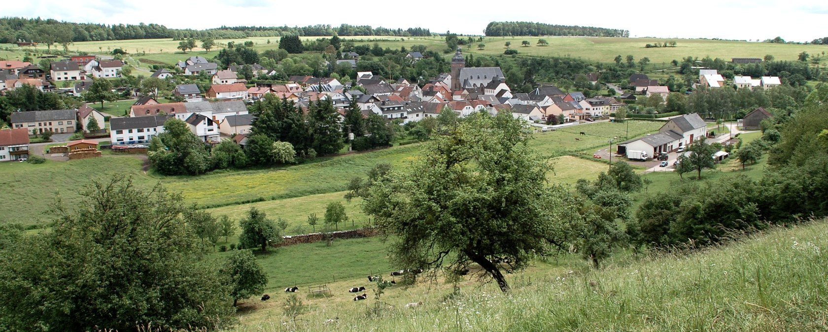 Vue de Gransdorf : au premier plan, des prairies et des arbres verdoyants, au second plan, le village avec des maisons et une &eacute;glise, entour&eacute; de champs., &copy; Doris Pauels