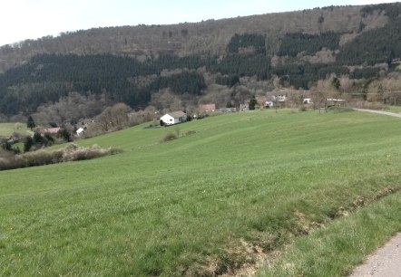 Groene weiden en heuvels met een klein dorpje op de achtergrond, omringd door beboste heuvels onder een blauwe hemel., &copy; R.Schaal
