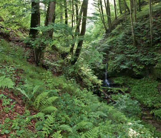 Een kleine waterval op het kloofpad, © Naturpark Südeifel, Thomas Kirchen