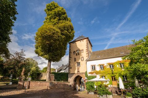 Ein historisches Gebäude mit einem markanten Turm und einem großen Baum in der Umgebung. Der Himmel ist blau und der Platz ist lebhaft mit Besuchern und Pflanzen.
