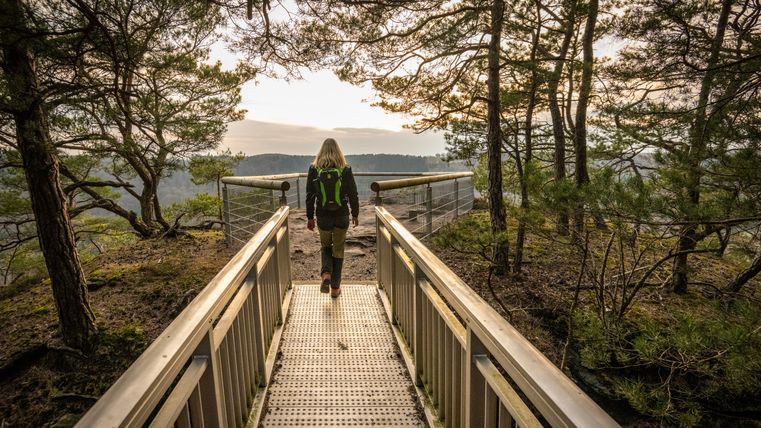 Person auf einem Steg zu einem Aussichtspunkt im Wald.