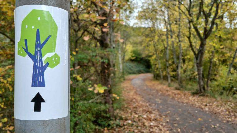 Een pad in het bos met een bord met een gestileerde boom en een pijl.