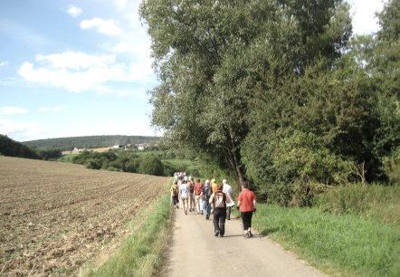 Wandelen Trierweiler-Udelfangen "Een spoor hoger", &copy; Deutsch Luxemburgische Tourist Info