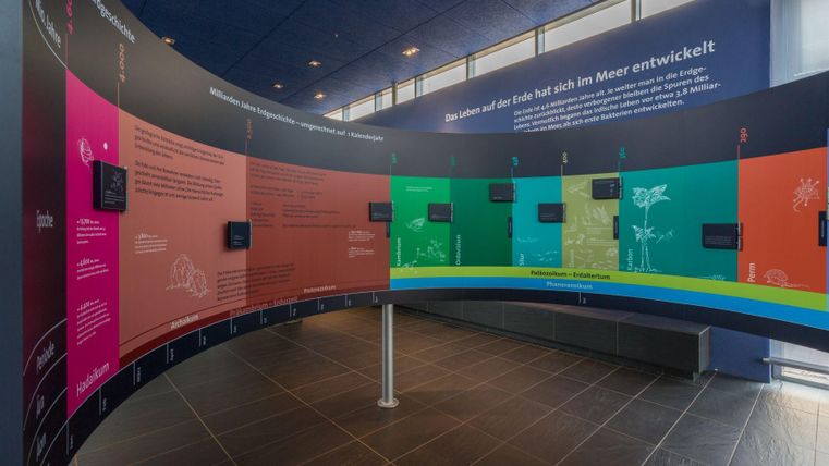 An interactive exhibition element with colorful panels. The information is laid out on different thematic areas of the sea.