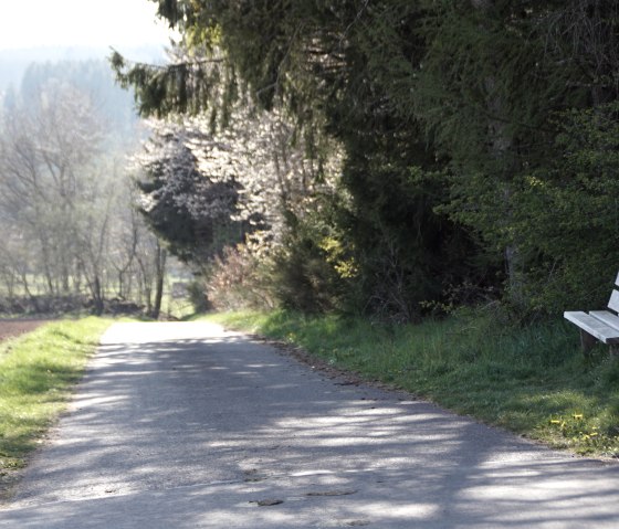Un chemin de randonn&eacute;e tranquille avec un banc au bord, entour&eacute; d'arbres et de prairies. Le soleil brille &agrave; travers les feuilles., &copy; M. Bach
