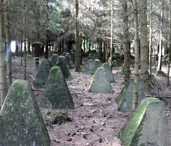 Deel van de bultlijn bij Gro&szlig;kampenberg, &copy; Tourist-Information Islek