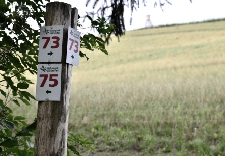 Wegwijzer in het natuurpark Zuid-Eifel met de nummers 73 en 75. Op de achtergrond is een veld en een verhoogde schuilhut te zien., &copy; TI Bitburger Land