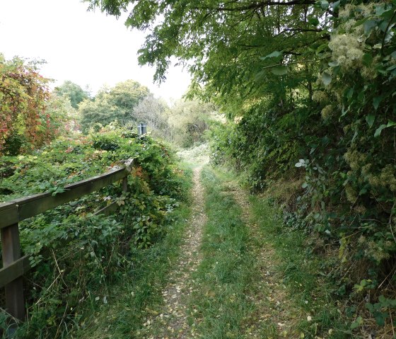 Egel 5, &copy; Nicole Zimmer