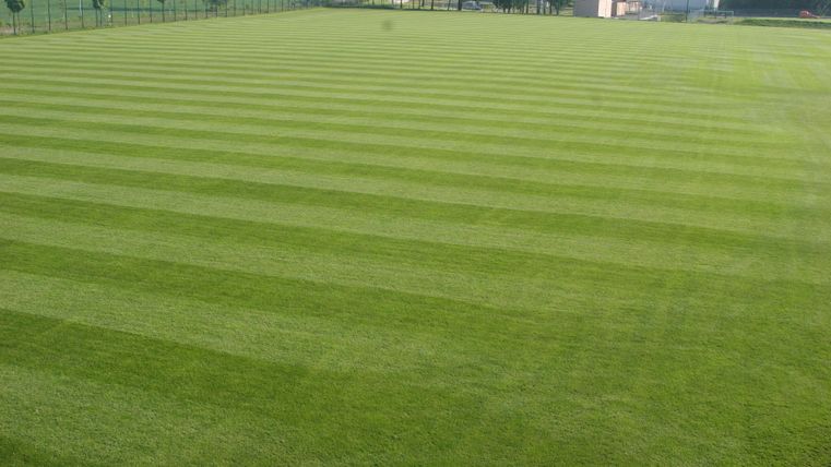 A perfectly mowed lawn with even stripes. In the background, there are some trees and a small building.