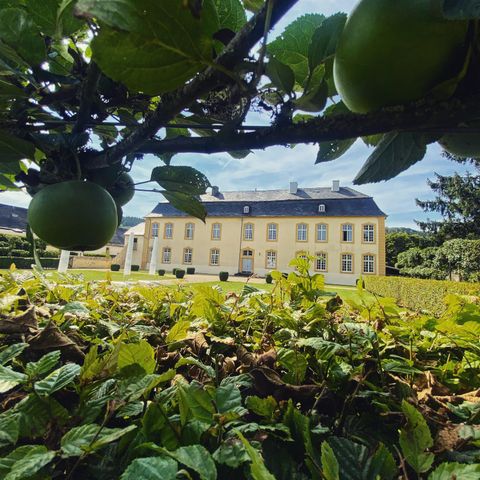 An elegant building with a yellow facade in a beautiful garden landscape. In the foreground, green apples and lush foliage can be seen.